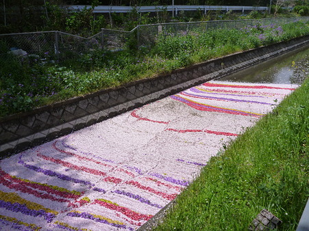 P1010051(1)