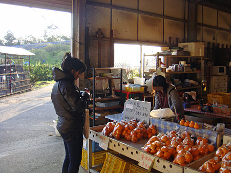 2011/11 讃岐うどんツアー-39