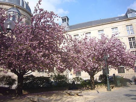 P2420393