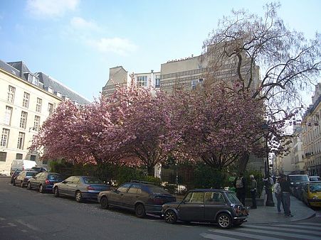 P2420427
