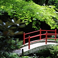 『架け橋。。。』