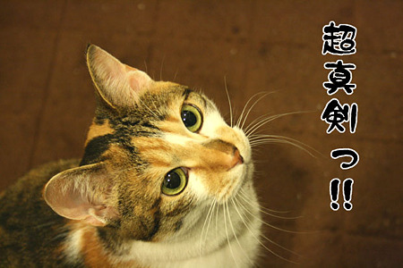 2010071503