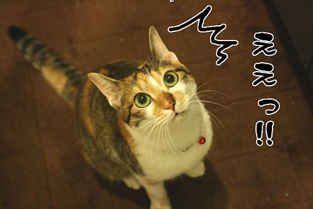 2010071504