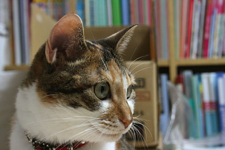 2010080108