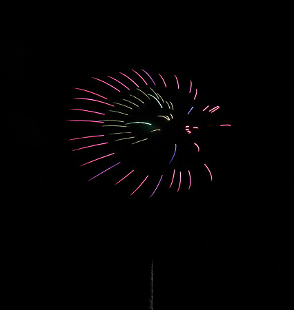 20100828-11キティー？