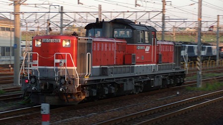 DSCN3019