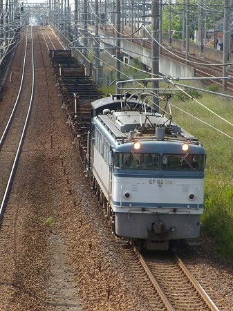 DSCN3610