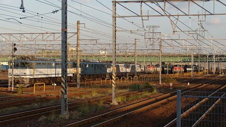 DSCN3607