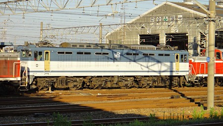 DSC00673