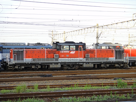 DSC00595