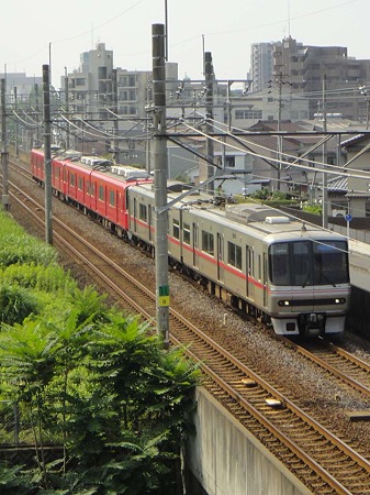 DSC00869
