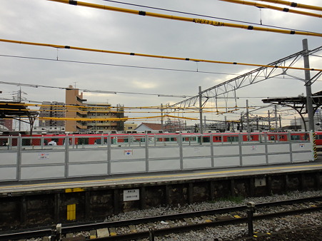 DSC01817