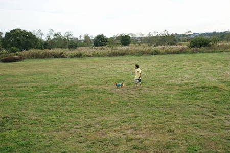 DSC03656