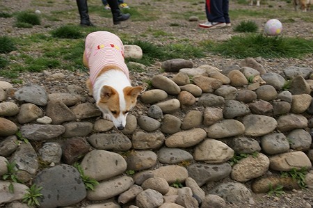 DSC07662