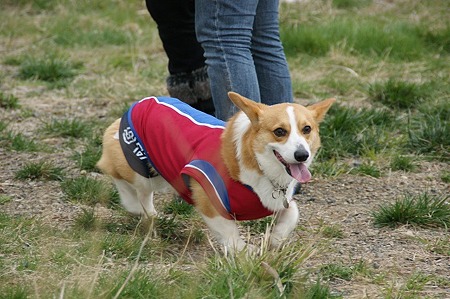DSC07666
