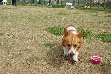 DSC07780