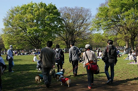 DSC08325