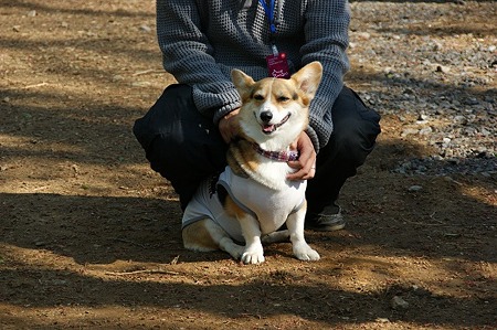 DSC08334