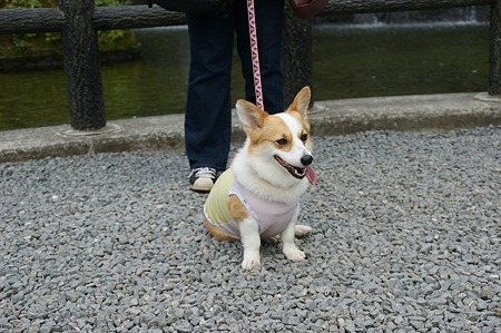 DSC02031