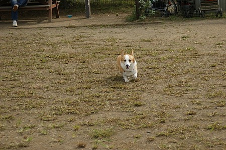 DSC04020