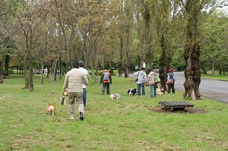 DSC04315