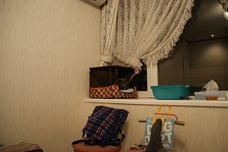 DSC05163
