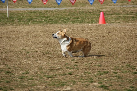 DSC08521