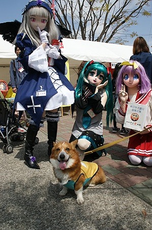 DSC09293
