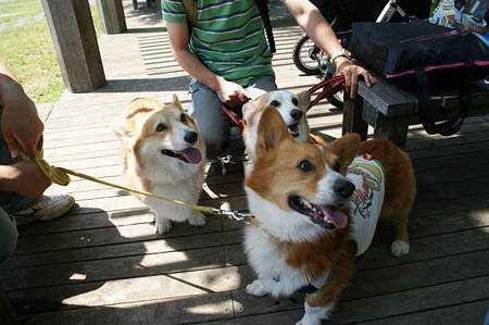 DSC00099