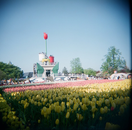HOLGA_FUJI_PRO400H05052011-01