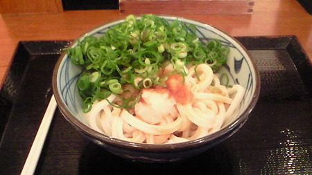 201103231258000