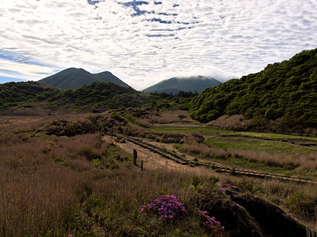UZ120361_DxO_raw