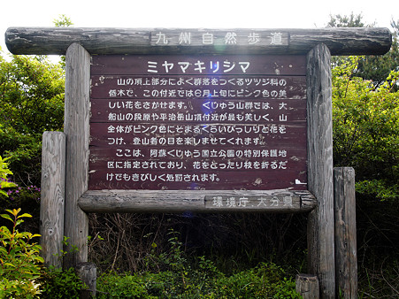 UZ120377_DxO_raw