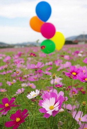 IMGP8863_1029