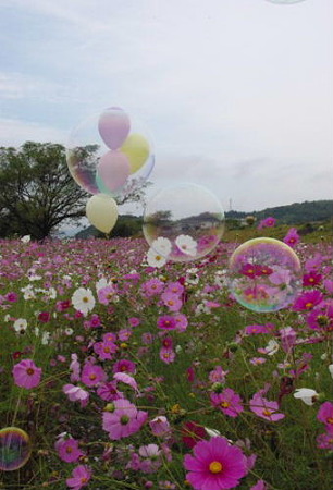 IMGP8160_1022