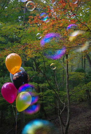 IMGP9830_11.12