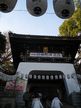 IMGP7491