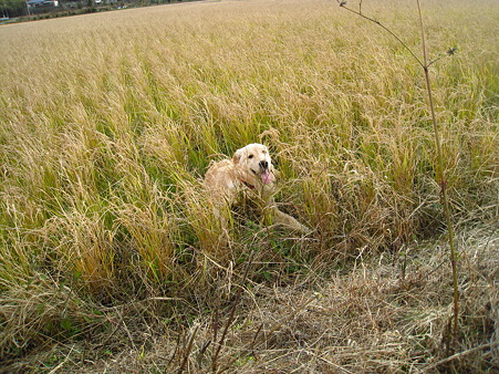 PIC00037