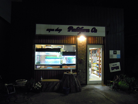 プチファームO2 2010 08/09 001