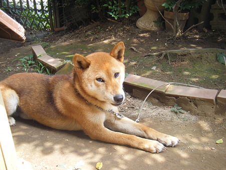 DSCF1089