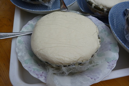 P1010056