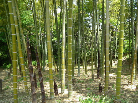 画像 105