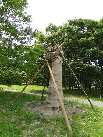 傷ついた大木