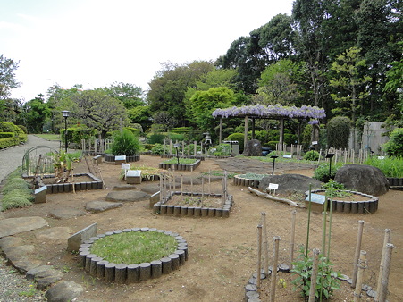 市川市万葉植物園