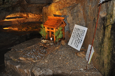 面不動鍾乳洞・化石の祠