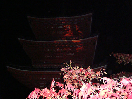 11.20.04