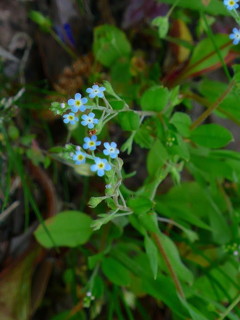 P1160914