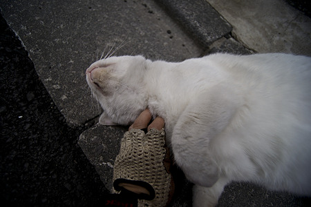 mochi090419004