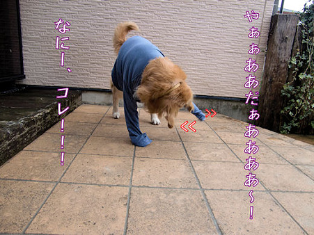 嫌がり方も相当なもんですね。