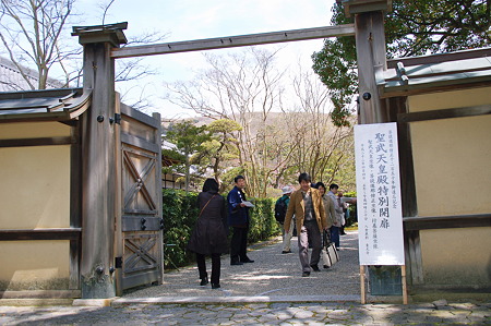 2010年04月04日_DSC_1276